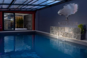 Villa Seyal - avec piscine - jacuzzi - sauna & climatisation